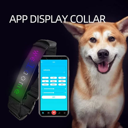 Smart LED Pet Collar