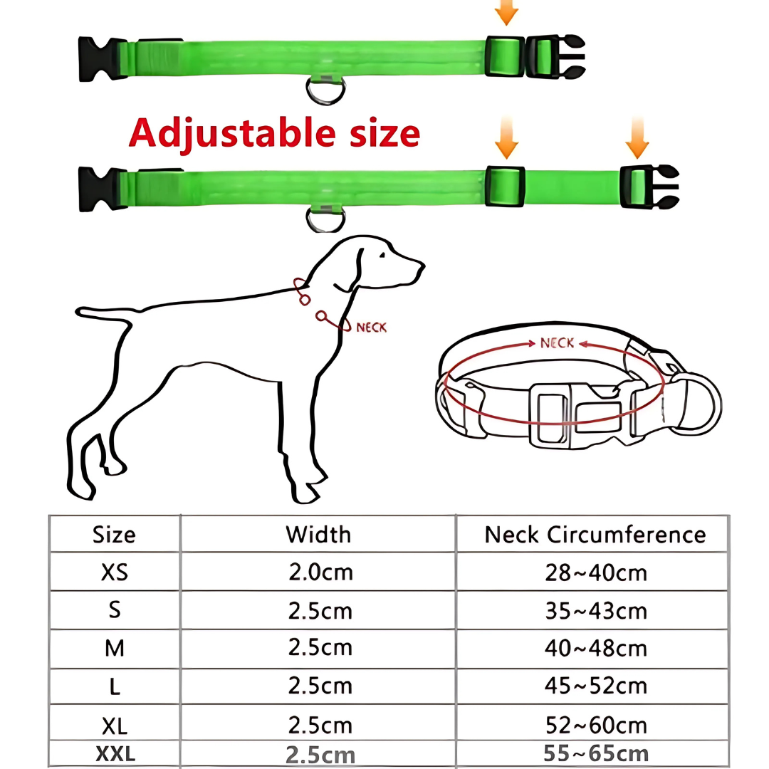 LED Safety Dog Collar