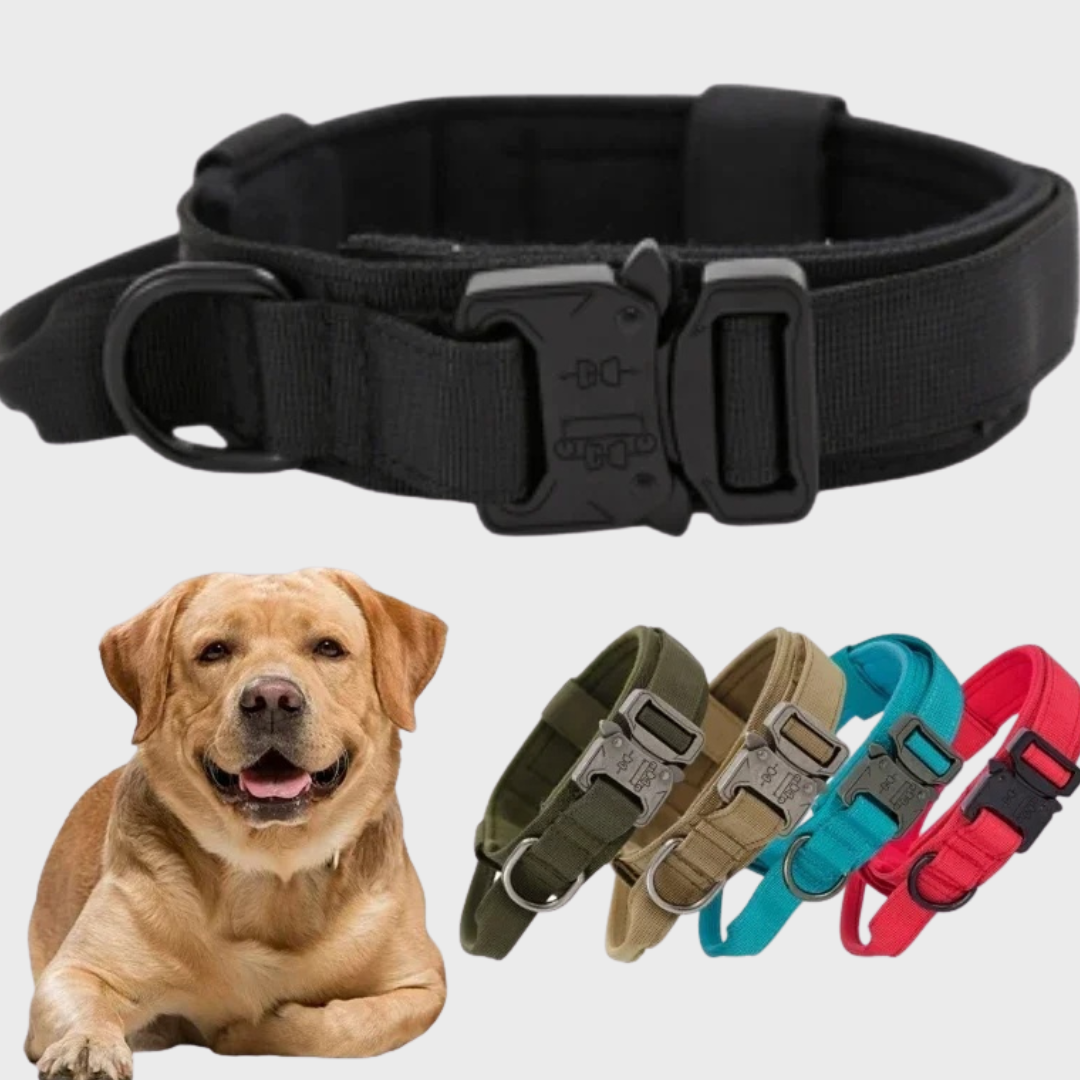 Tactical Dog Collar/Leash