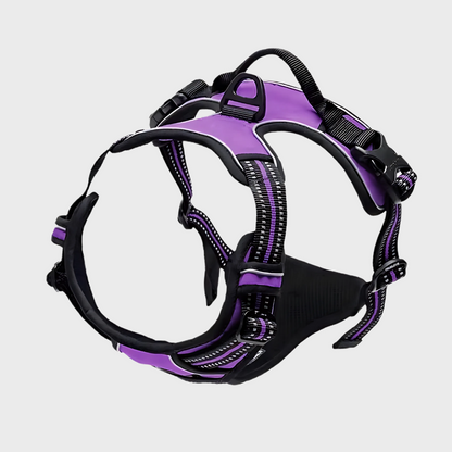 Safety Shine Dog Harness