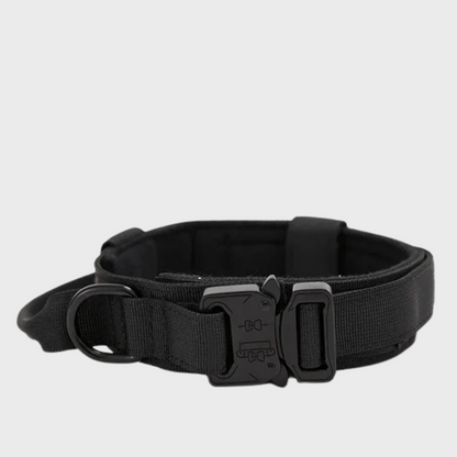 Tactical Dog Collar/Leash