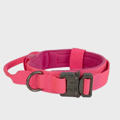 Tactical Dog Collar/Leash