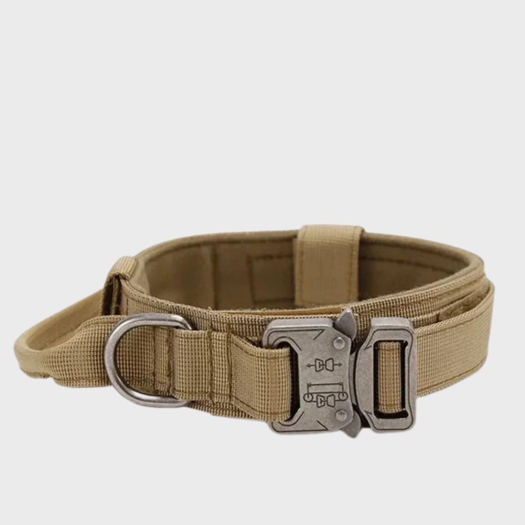 Tactical Dog Collar/Leash