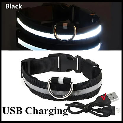 LED Safety Dog Collar