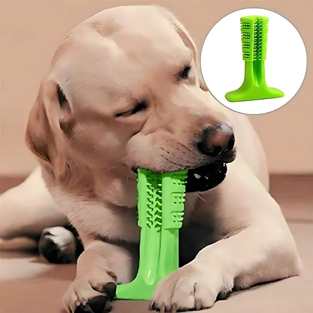 Dog Teeth Cleaner