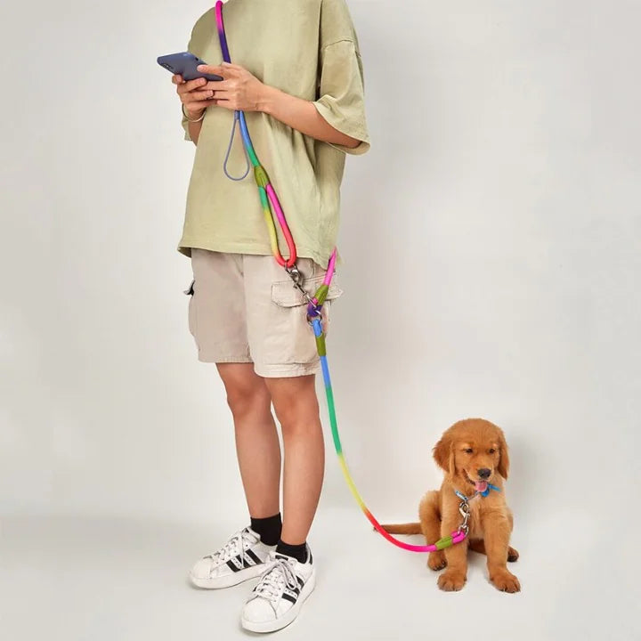 Reflective Safety Dog Leash