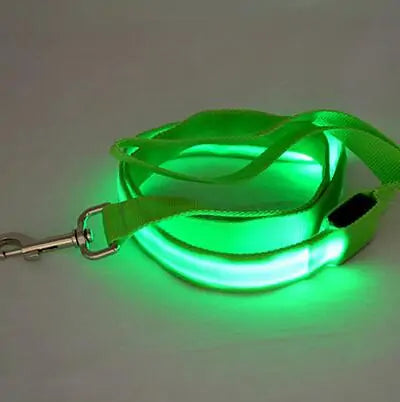 Safety Glow Dog Leash