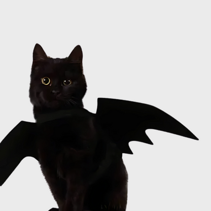 Bat-Wings Pet Costume