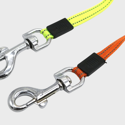 Dual Dog Leash With Light