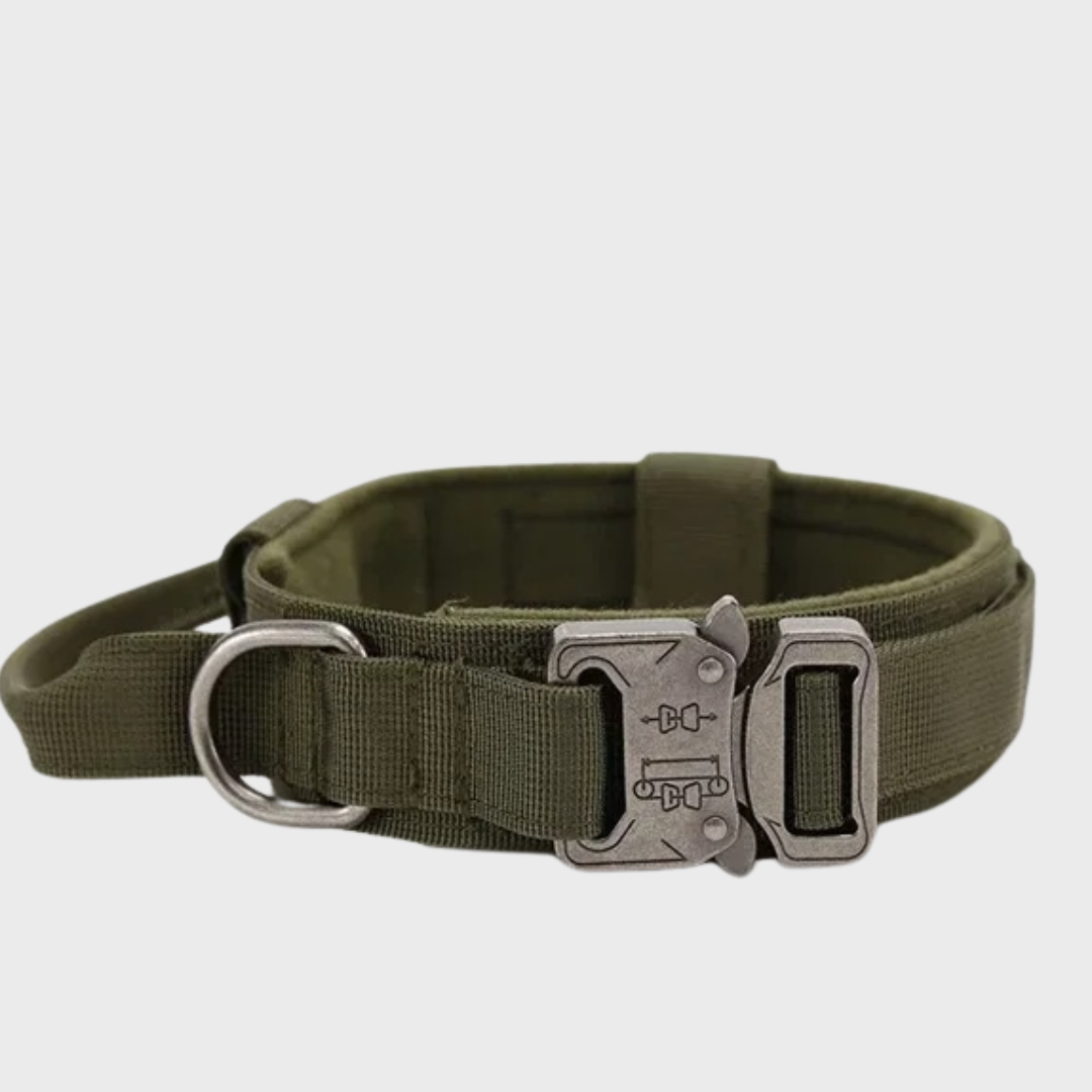 Tactical Dog Collar/Leash