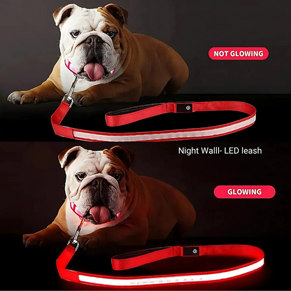 LuminTrail Water-Resistant Dog Leash