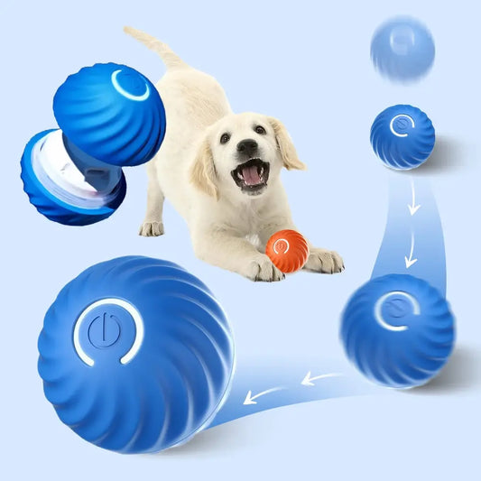 Smart Pet Play Ball