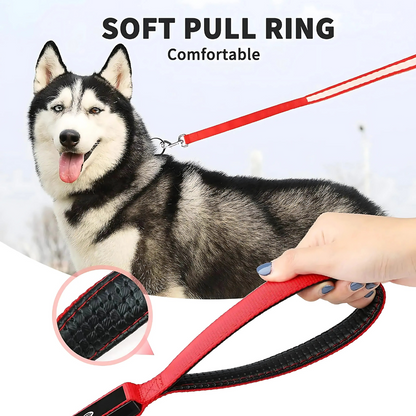 LuminTrail Water-Resistant Dog Leash