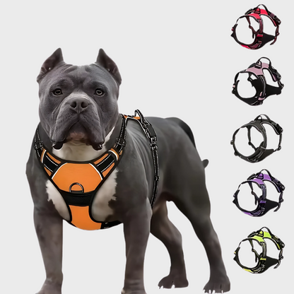 Safety Shine Dog Harness