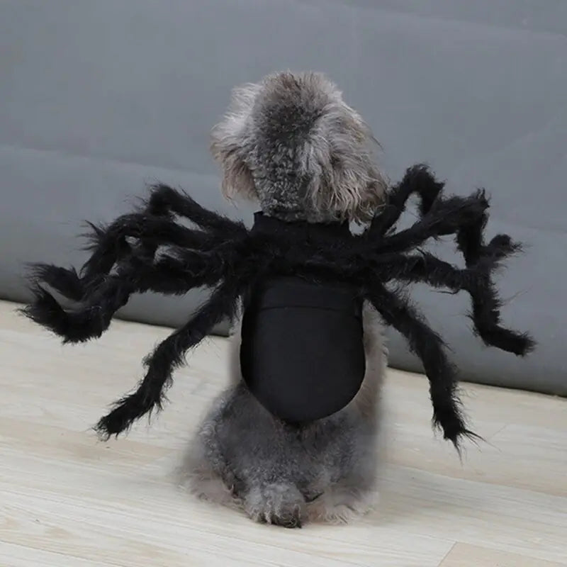 Spooky Spider Pet Costume