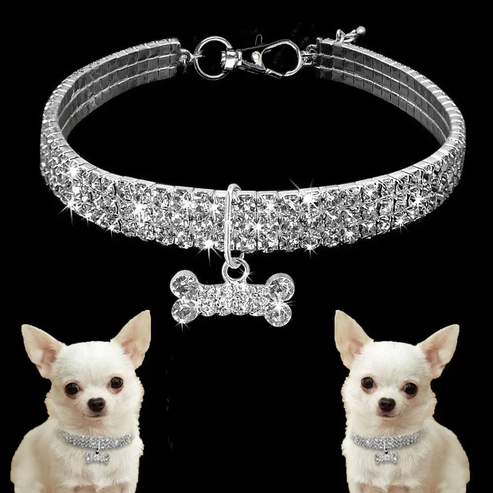 Glitter Sparkle Dog Collar