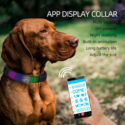 Smart LED Pet Collar