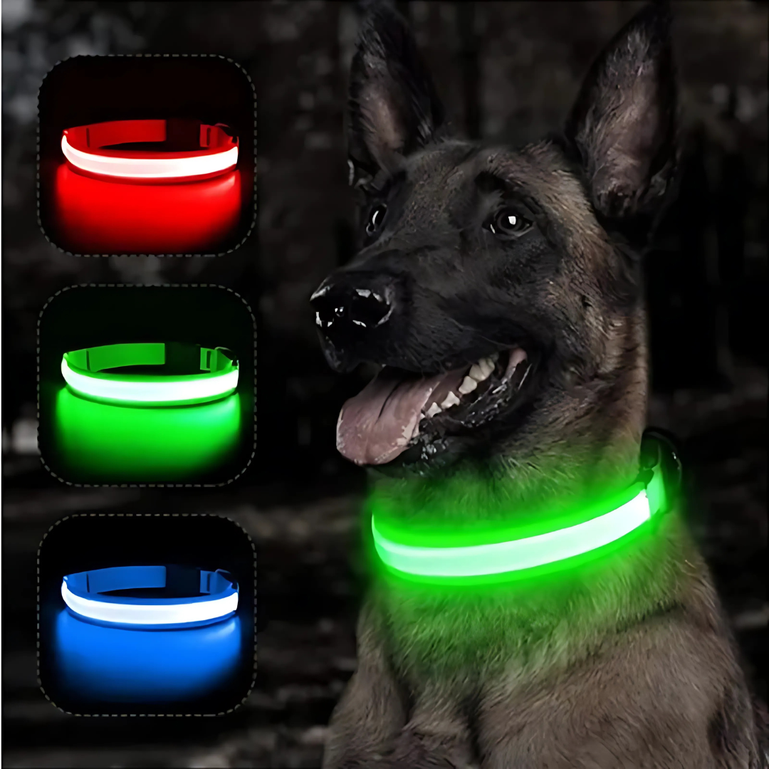 LED Safety Dog Collar