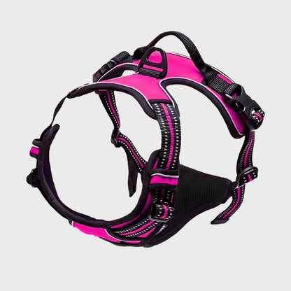 Safety Shine Dog Harness