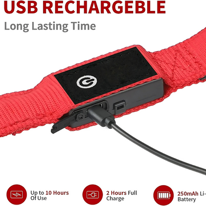 LuminTrail Water-Resistant Dog Leash