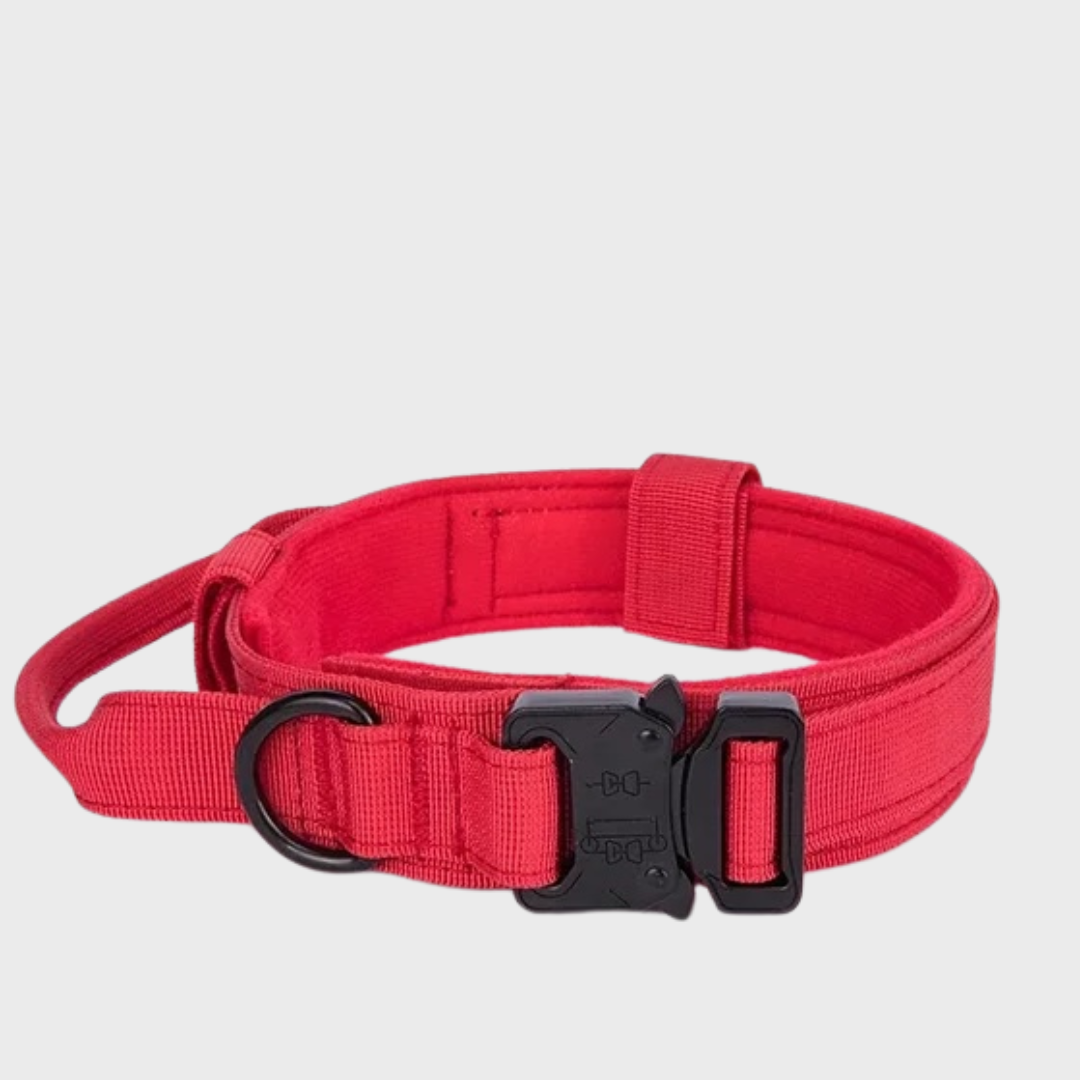 Tactical Dog Collar/Leash