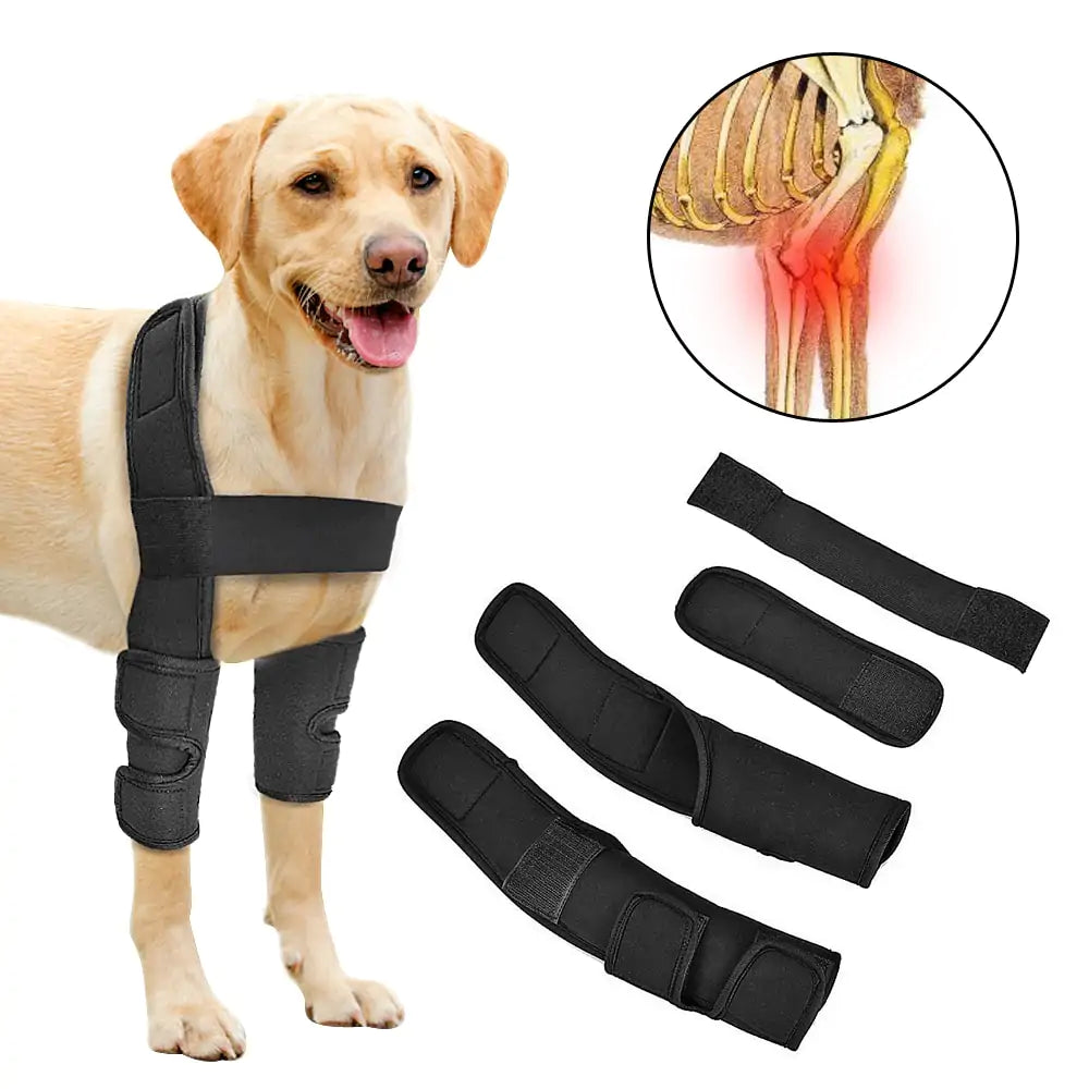 ComfortPaws Leg Support Brace