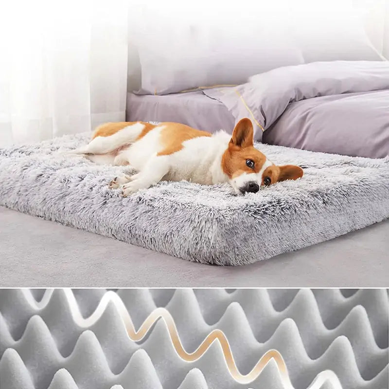 Cozy Plush Dog Bed