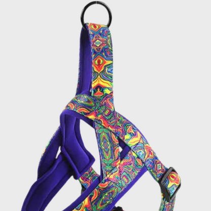 Vibrant Comfort Dog Harness