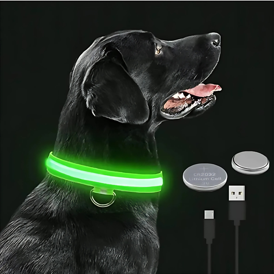 LED Safety Dog Collar