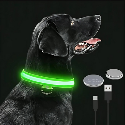 LED Safety Dog Collar