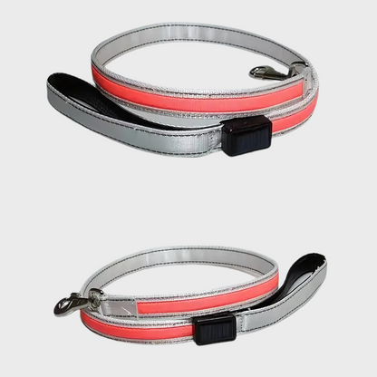 LuminTrail Water-Resistant Dog Leash