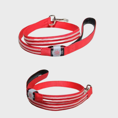 LuminTrail Water-Resistant Dog Leash