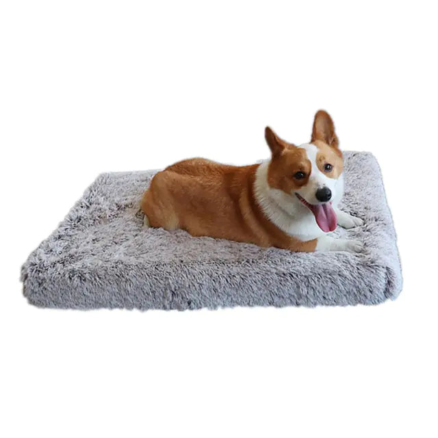 Cozy Plush Dog Bed