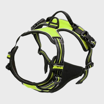 Safety Shine Dog Harness