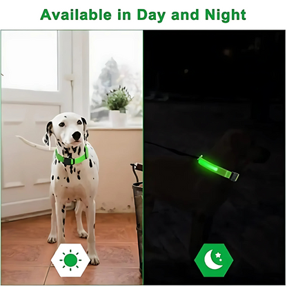 LED Safety Dog Collar