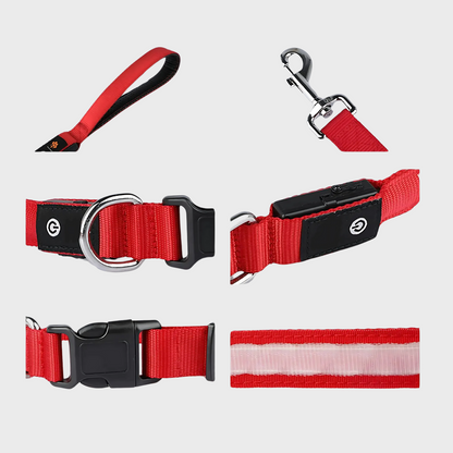 LuminTrail Water-Resistant Dog Leash