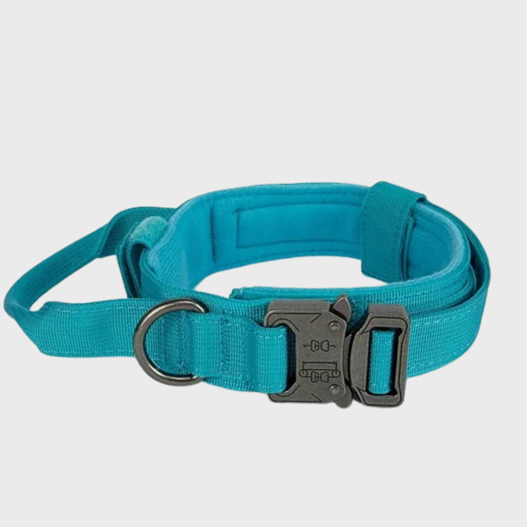 Tactical Dog Collar/Leash