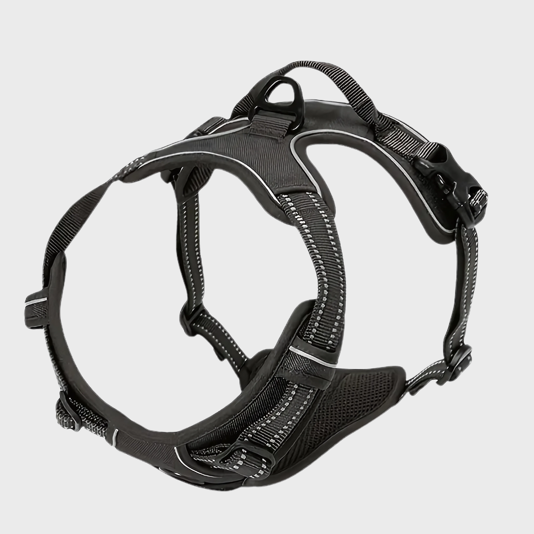 Safety Shine Dog Harness