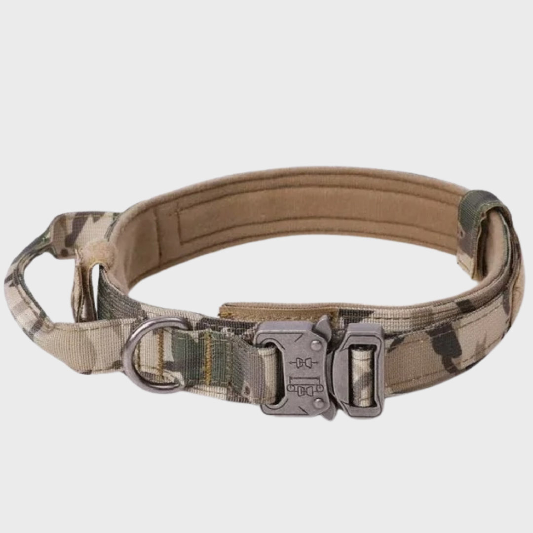 Tactical Dog Collar/Leash