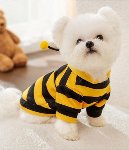 BuzzPaws Pet Bee Costume