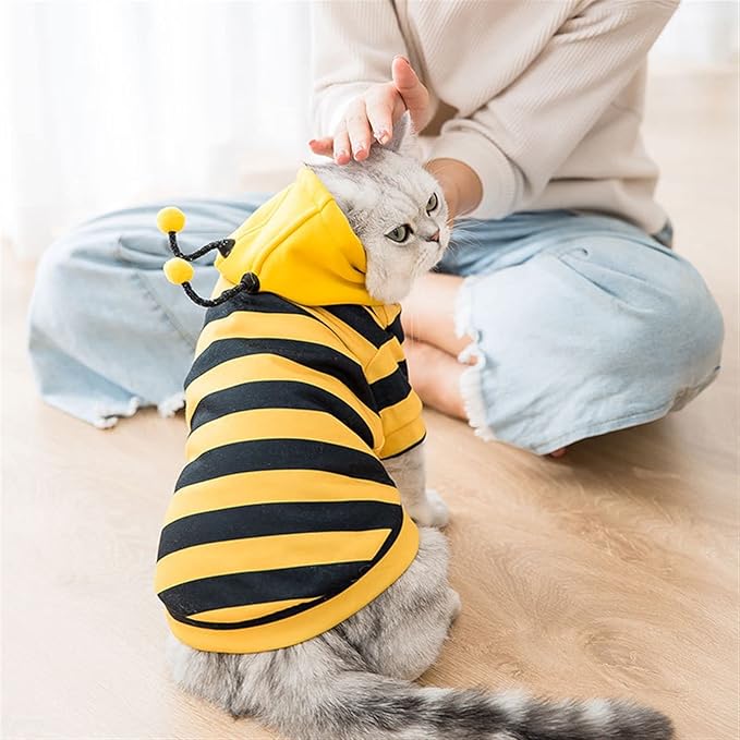 BuzzPaws Pet Bee Costume