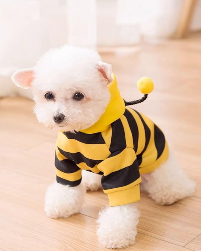 BuzzPaws Pet Bee Costume