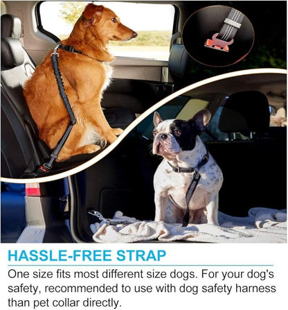 Safety Belt Reflective Pet Leash