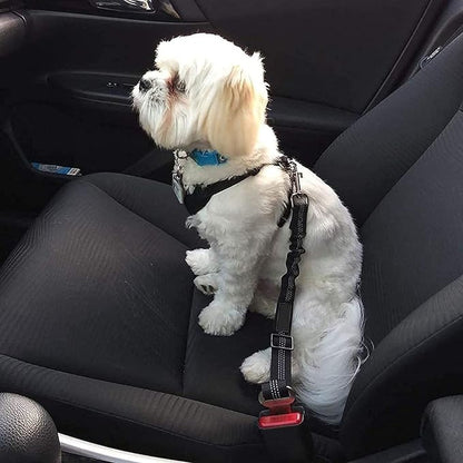 Safety Belt Reflective Pet Leash