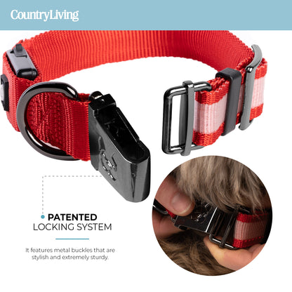 Red LED Safety Dog Collar