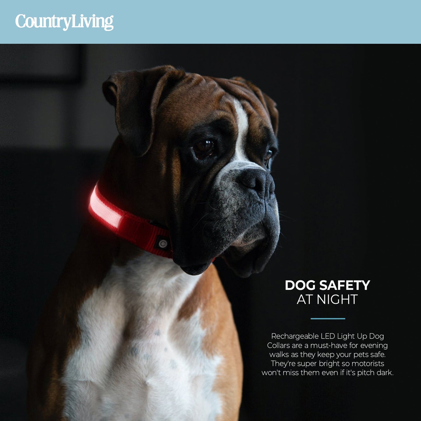 Red LED Safety Dog Collar