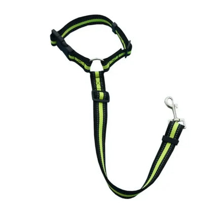 Pet Seat Belt Harness