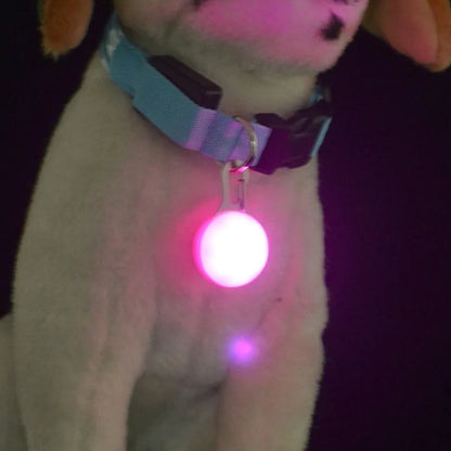 LED Pet Collar Pendant