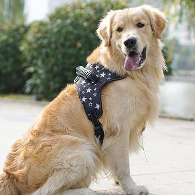 Dog Chest Strap