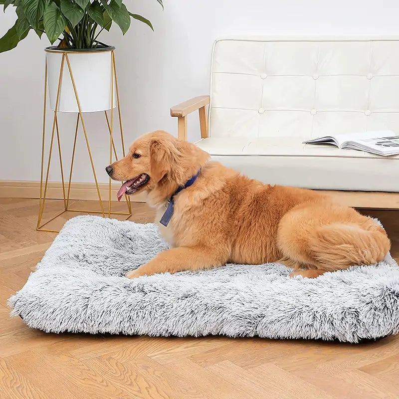 Cozy Plush Dog Bed